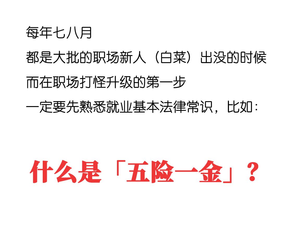 《好苦鸭的日常》鸭鸭小百科一 第1页