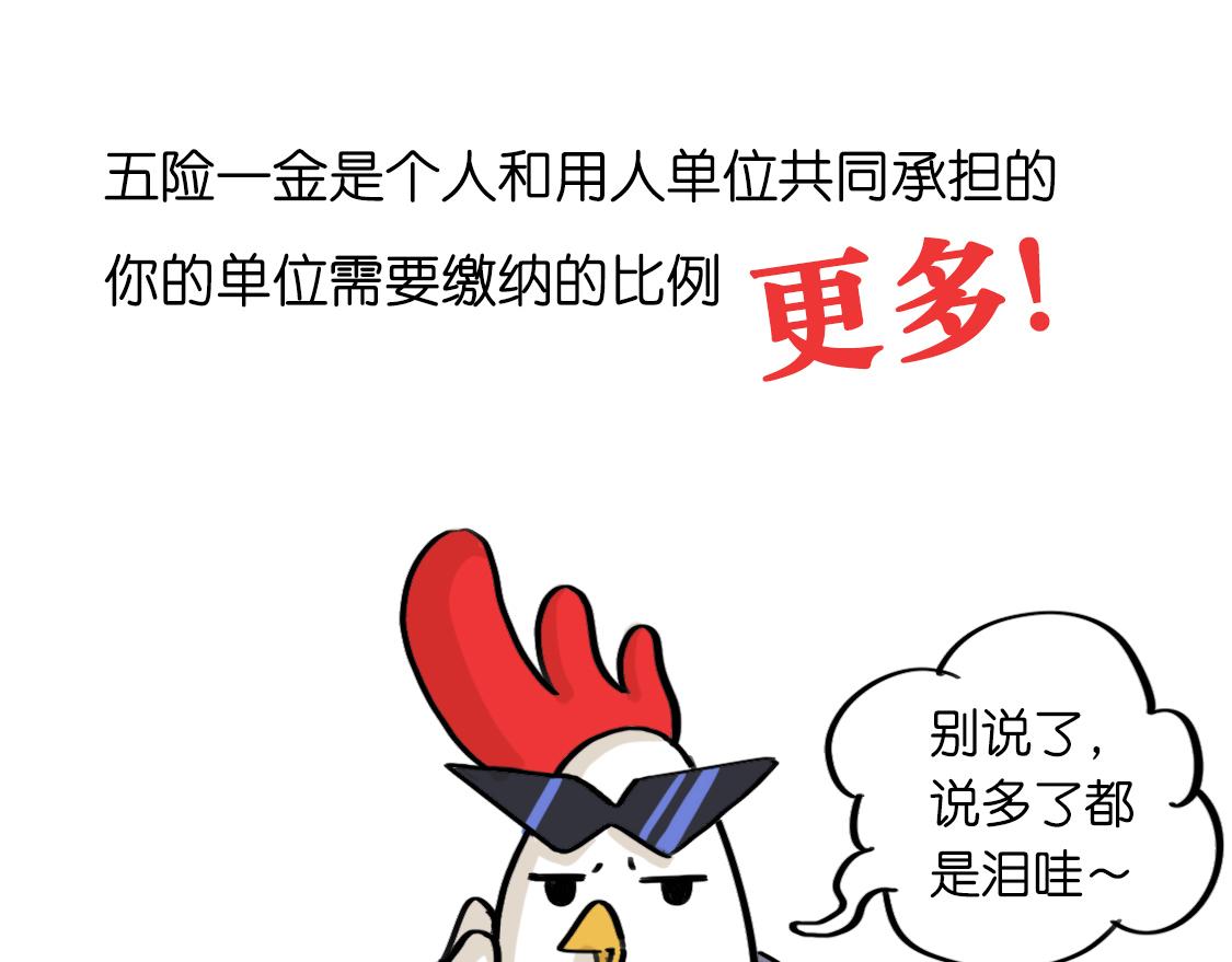 《好苦鸭的日常》鸭鸭小百科一 第30页