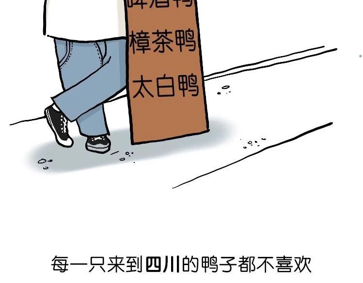 《好苦鸭的日常》鸭鸭日子小观察三 第11页