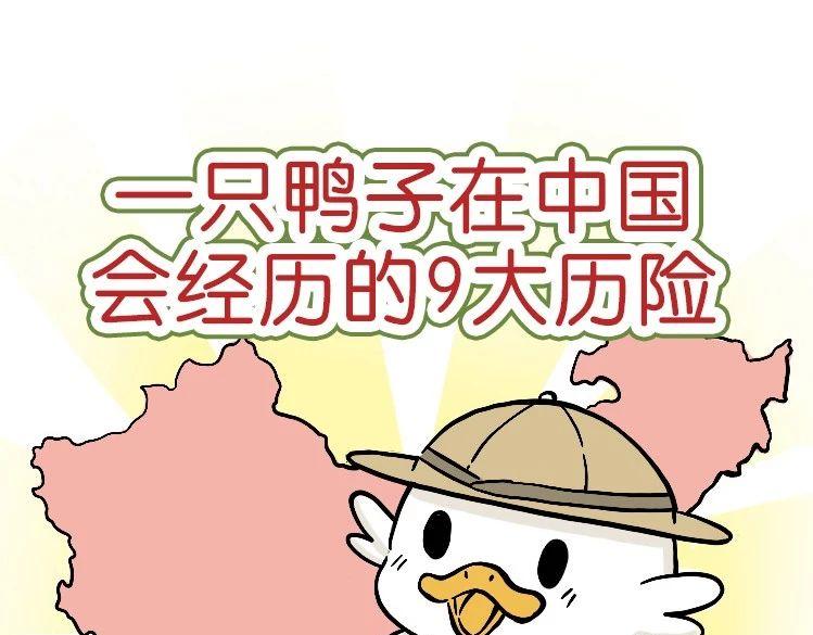 《好苦鸭的日常》鸭鸭日子小观察三 第1页