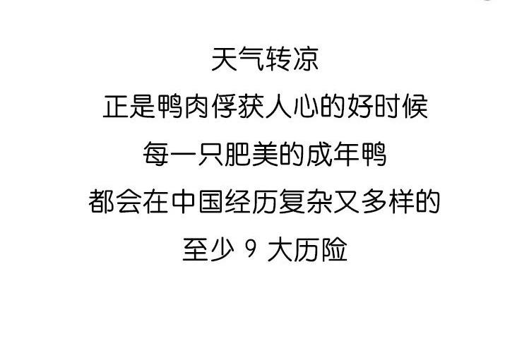 《好苦鸭的日常》鸭鸭日子小观察三 第3页