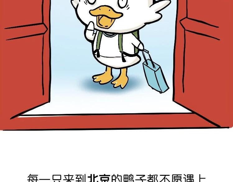 《好苦鸭的日常》鸭鸭日子小观察三 第5页