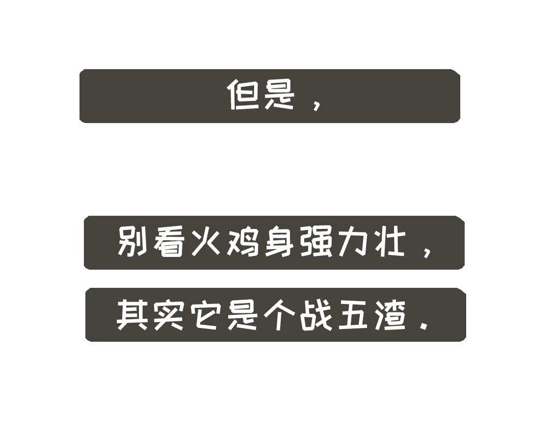 《好苦鸭的日常》鸭鸭日子小观察五 第10页