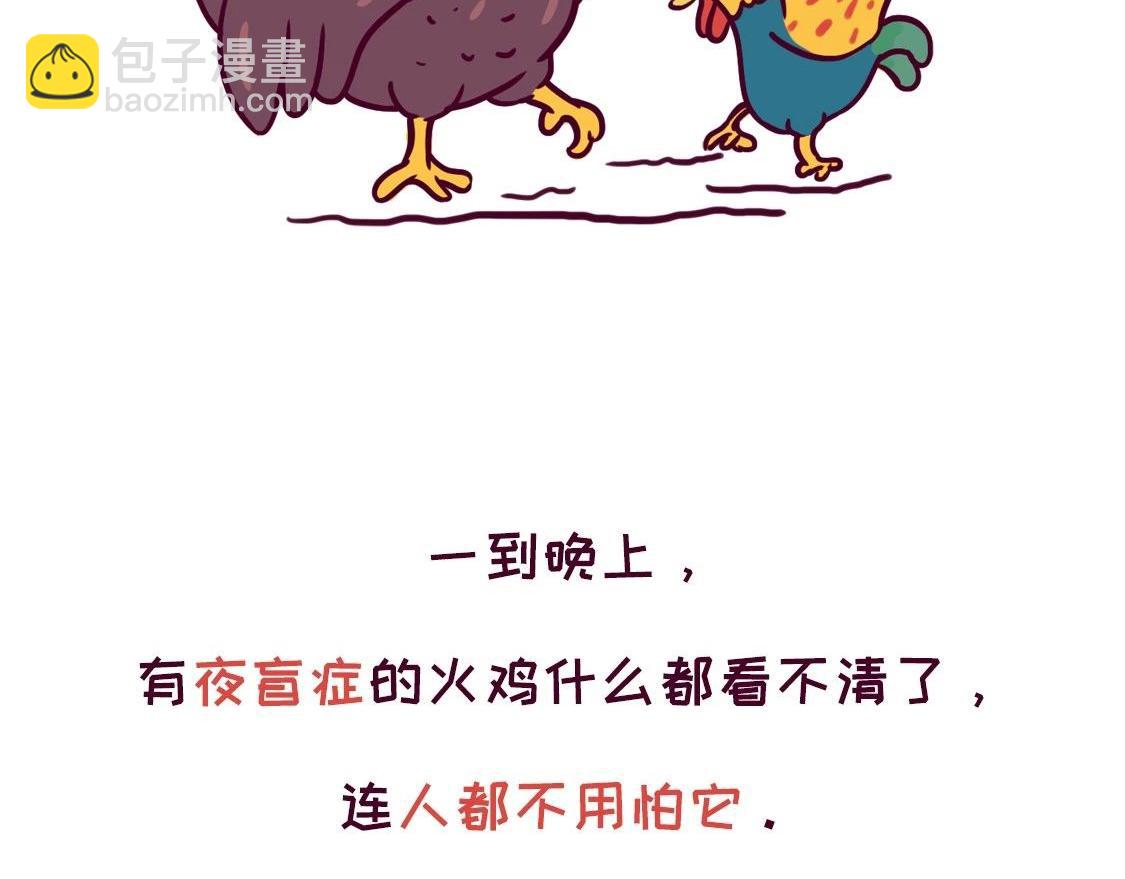 《好苦鸭的日常》鸭鸭日子小观察五 第12页