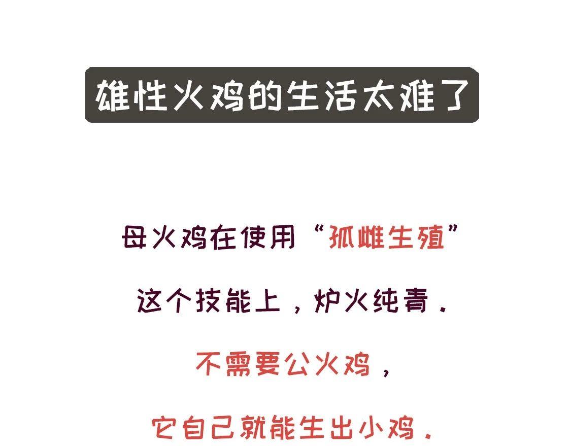 《好苦鸭的日常》鸭鸭日子小观察五 第14页