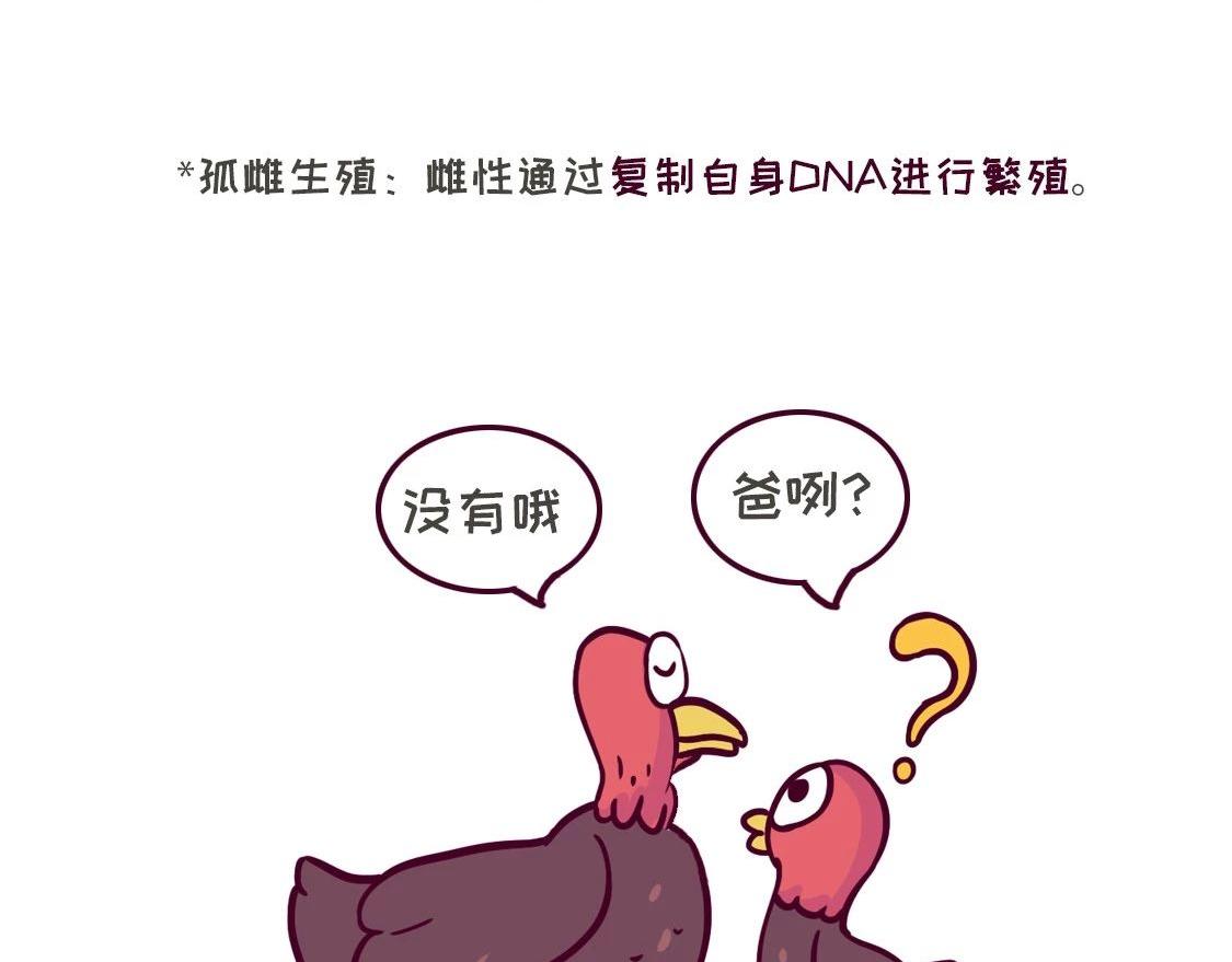 《好苦鸭的日常》鸭鸭日子小观察五 第15页