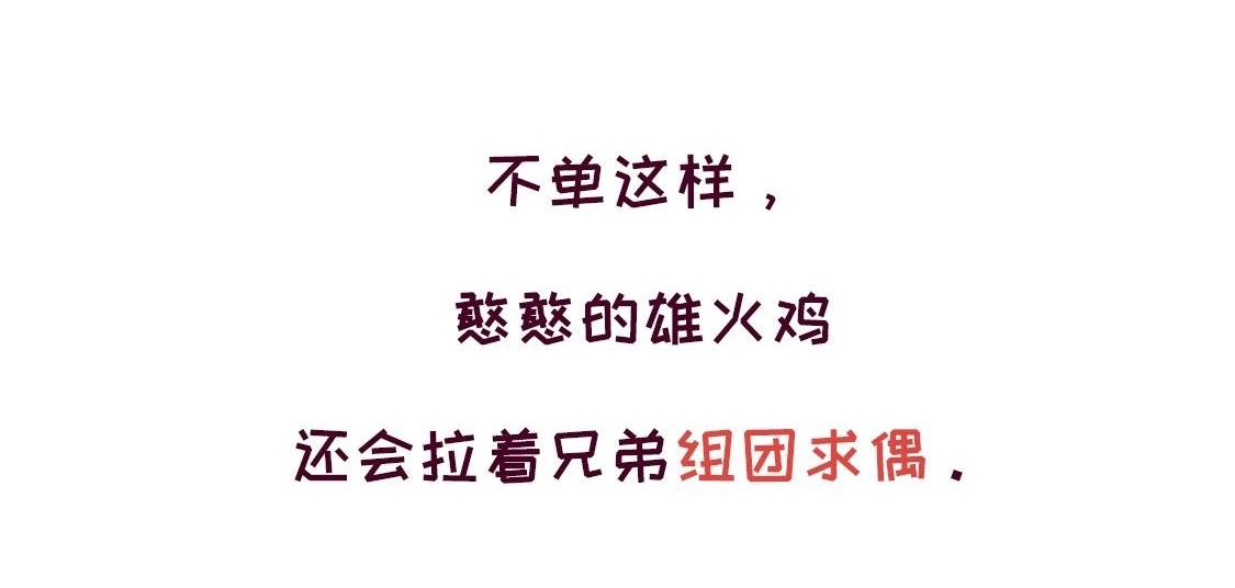 《好苦鸭的日常》鸭鸭日子小观察五 第17页