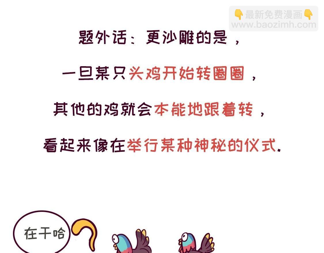 《好苦鸭的日常》鸭鸭日子小观察五 第19页