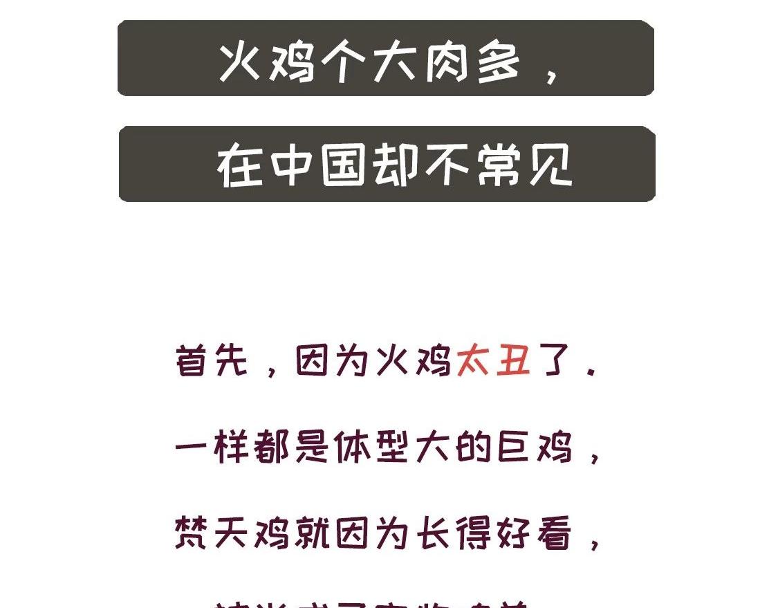 《好苦鸭的日常》鸭鸭日子小观察五 第21页