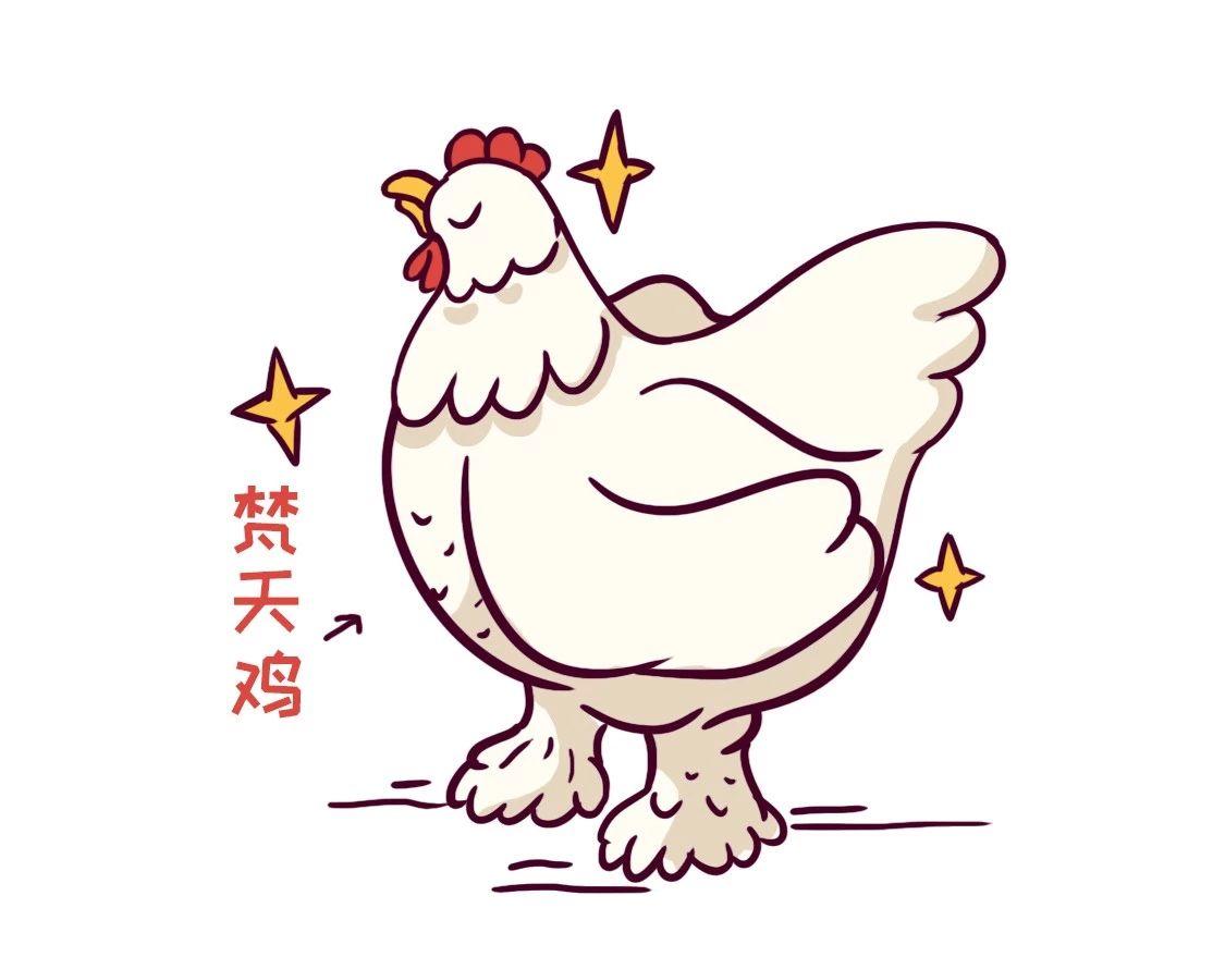 《好苦鸭的日常》鸭鸭日子小观察五 第23页