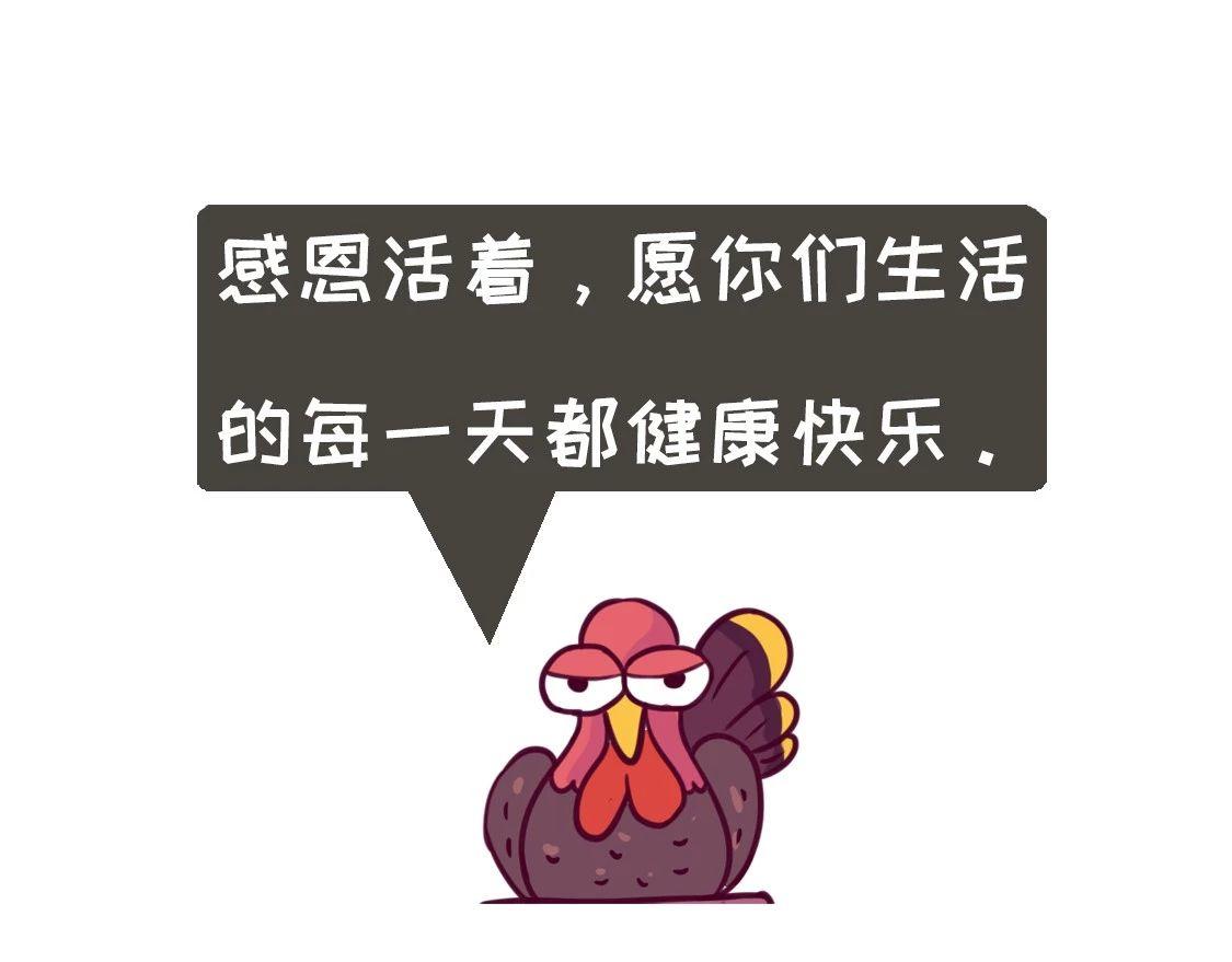 《好苦鸭的日常》鸭鸭日子小观察五 第29页