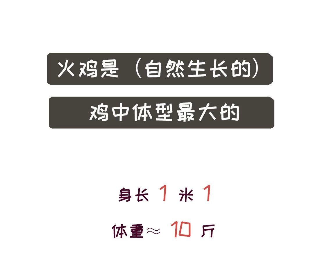 《好苦鸭的日常》鸭鸭日子小观察五 第5页