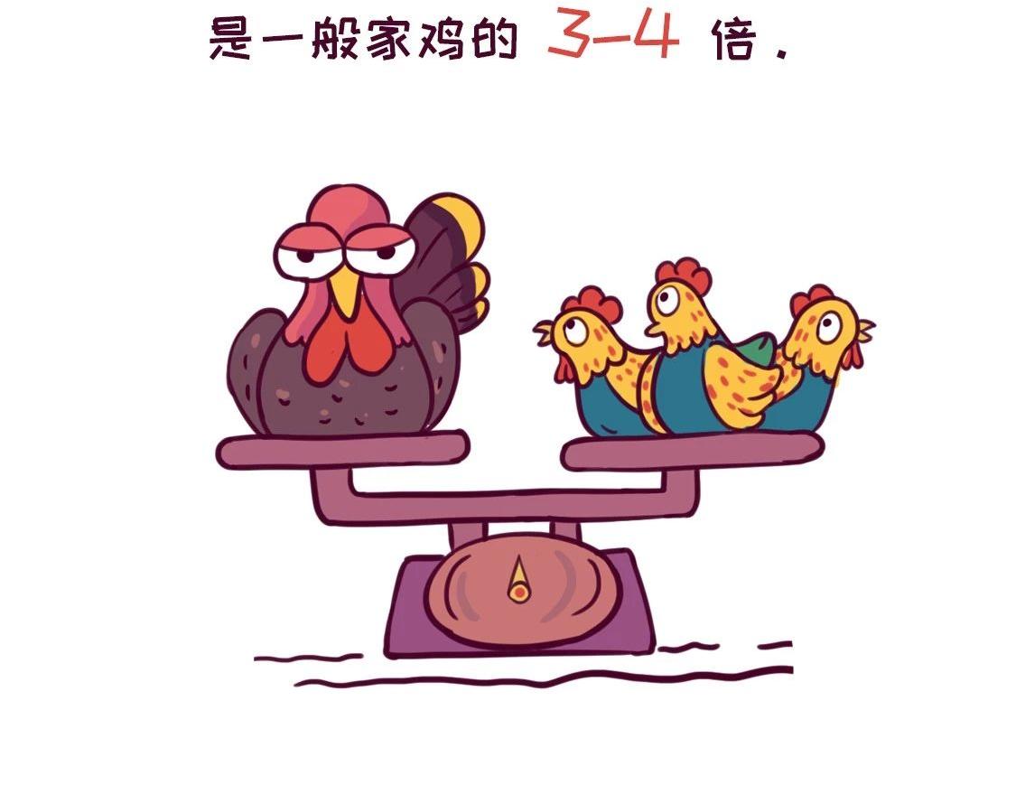 《好苦鸭的日常》鸭鸭日子小观察五 第6页