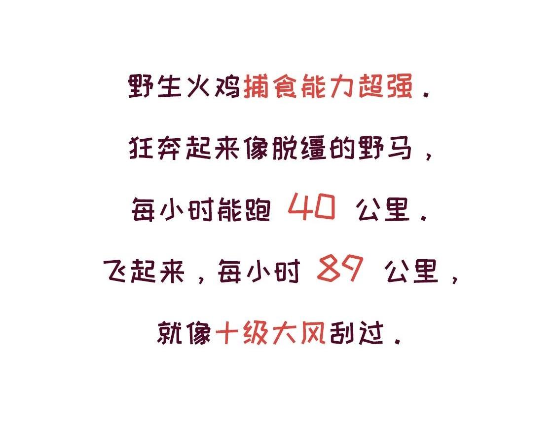 《好苦鸭的日常》鸭鸭日子小观察五 第7页
