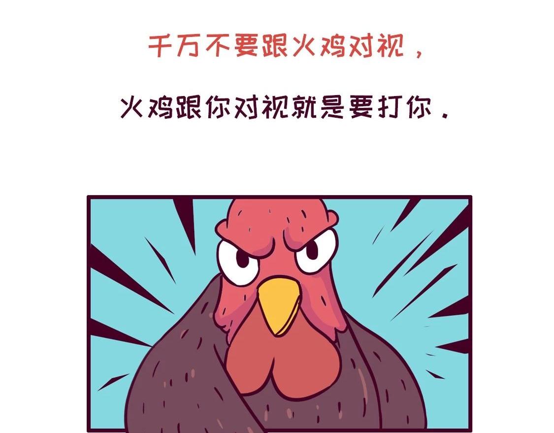 《好苦鸭的日常》鸭鸭日子小观察五 第8页