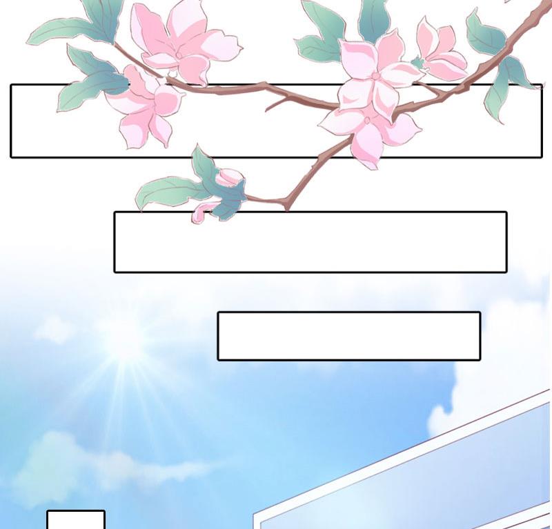 《撩婚成爱总裁大人晚上好》第14话 一拍即合 第31页