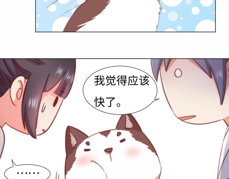 《王爷，你尾巴掉了》第6话 目的地！红尘居！ 第46页