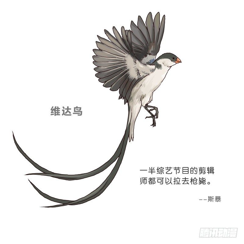 《濒死世界》2没死透 第48页