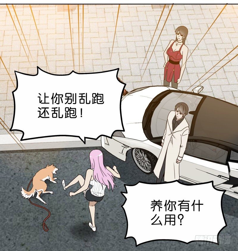 《濒死世界》1我死了 第37页