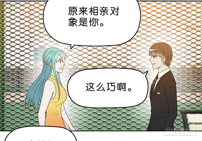 《濒死世界》10网球相亲 第43页