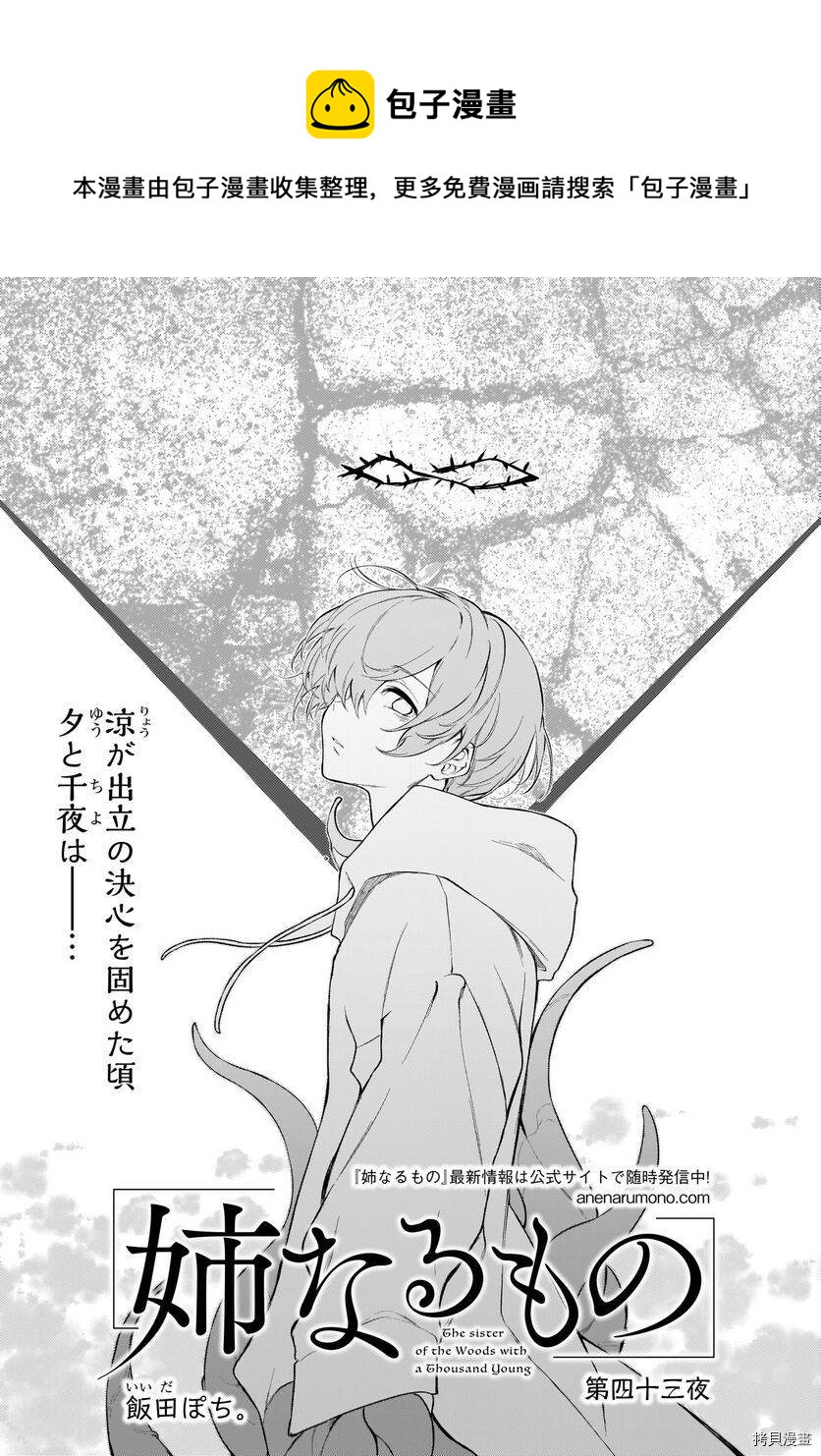 《恶魔姐姐》第43话 第1页