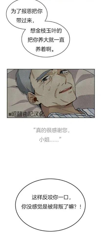 《依小姐所愿》第5话 第14页