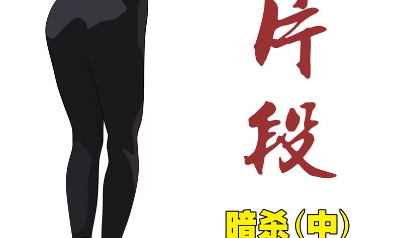 《人生片段》暗杀（中） 第2页