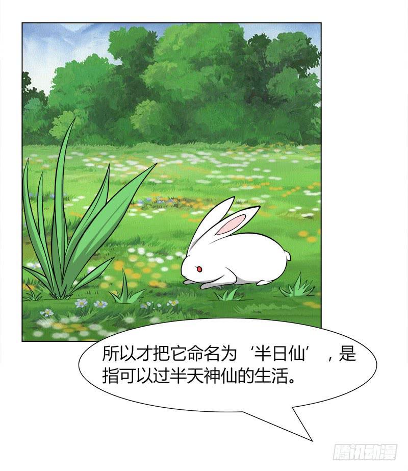 《虐心王妃》第二十八话 第16页