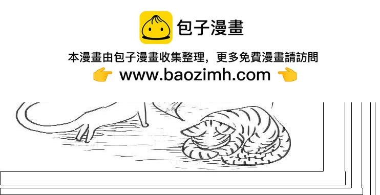 《三哉与斗兽》第01-07章 斗兽进化史 第16页