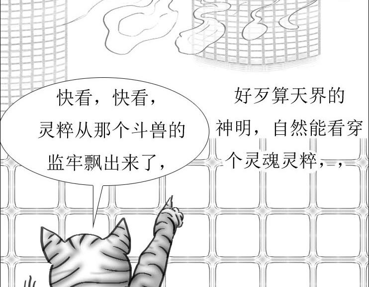 《三哉与斗兽》第01-11章 法阵 第30页
