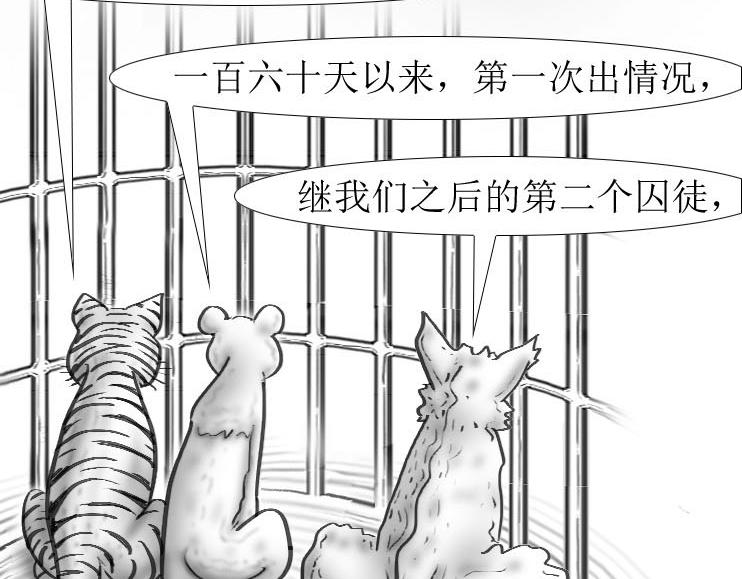 《三哉与斗兽》第01-10章 相逢何必曾相识 第25页