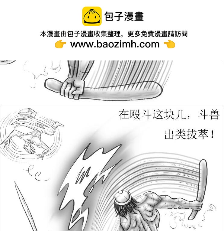 《三哉与斗兽》第01-08章 一招致死 第2页