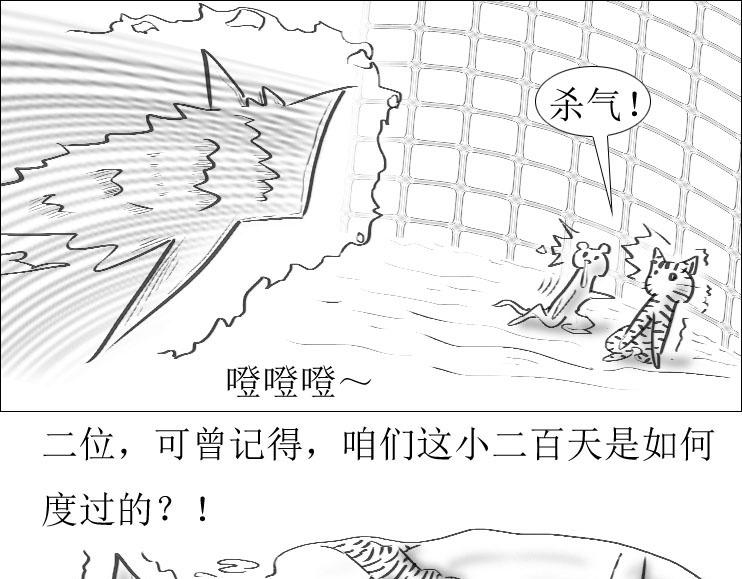 《三哉与斗兽》第01-12章 那个秘术 第13页