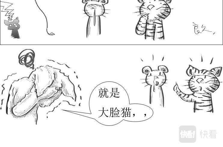 《三哉与斗兽》第01-12章 那个秘术 第5页