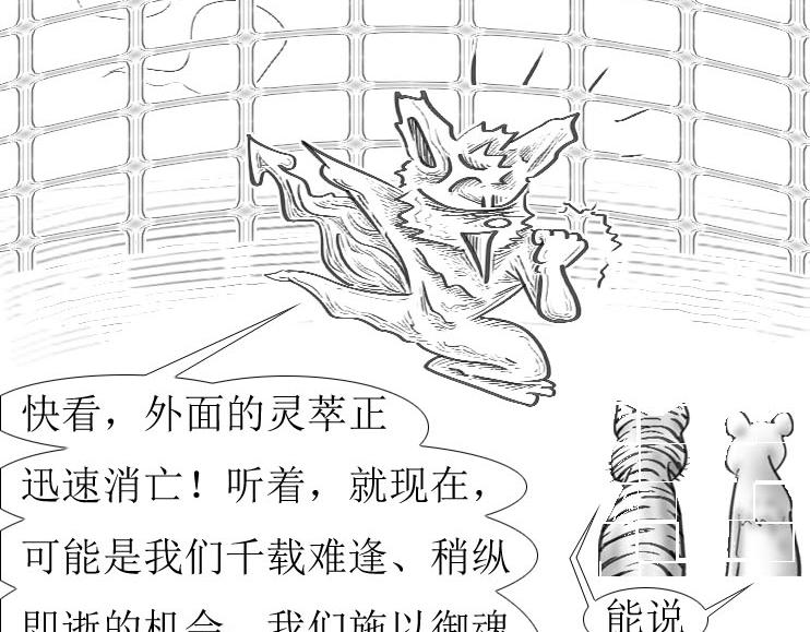 《三哉与斗兽》第01-12章 那个秘术 第7页