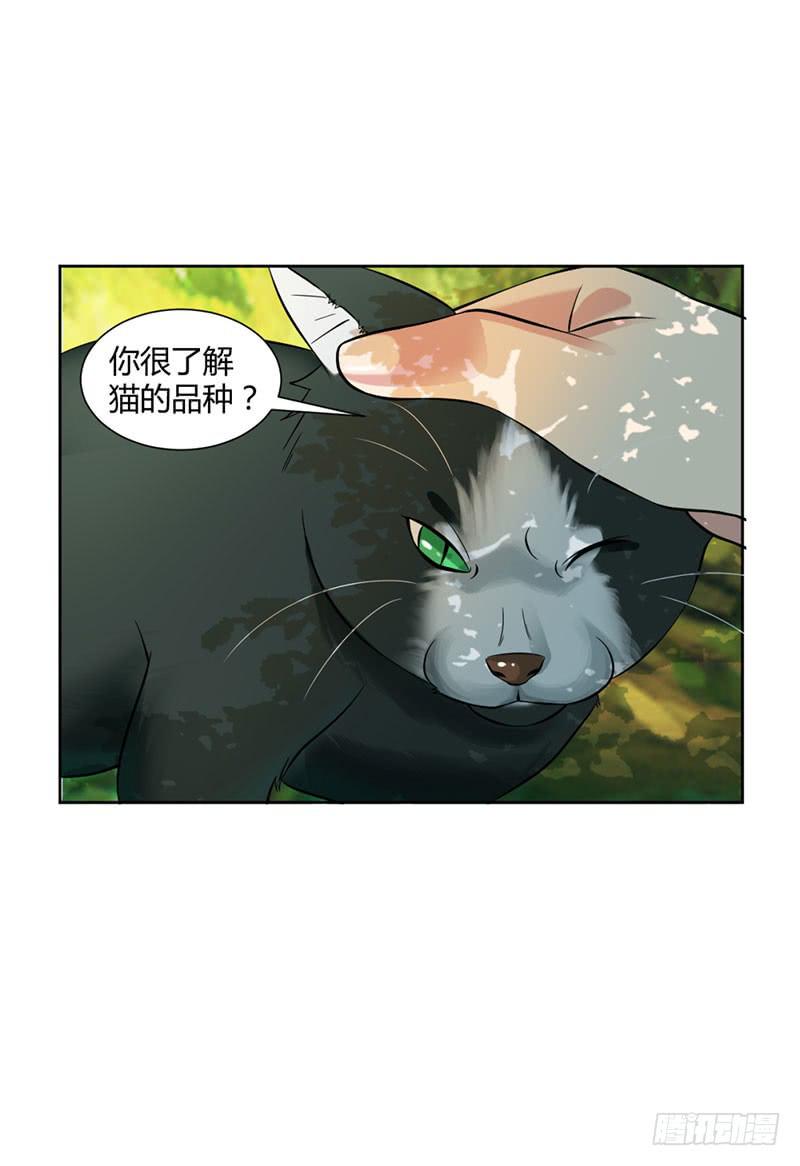 《来治王爷的你》第十四话 第8页