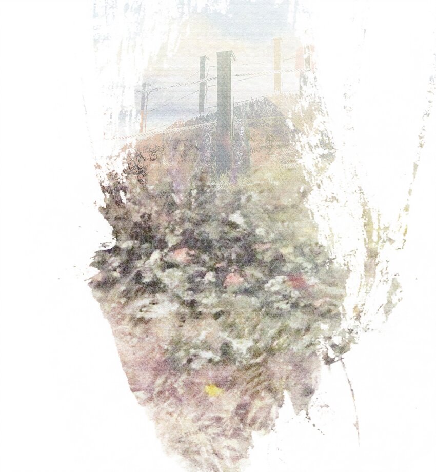 《记忆留痕之处》32 32 第46页
