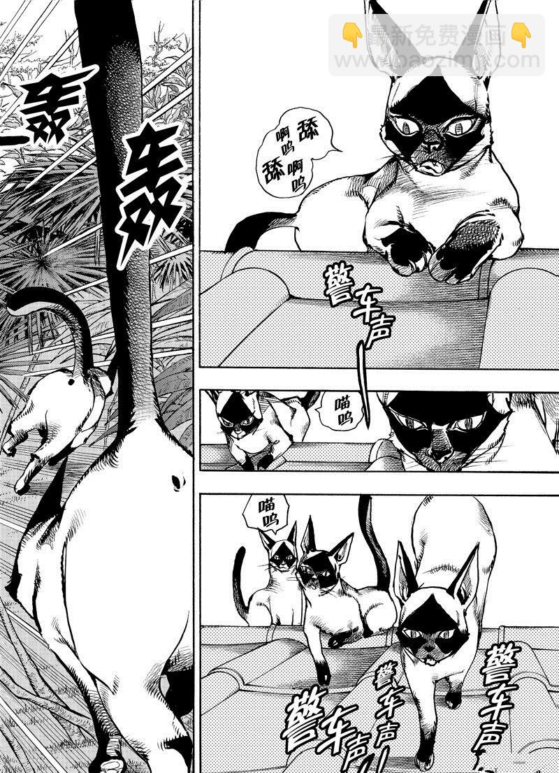 《JoJo的奇妙冒险 第9部 The JOJO Lands》第5话 第44页