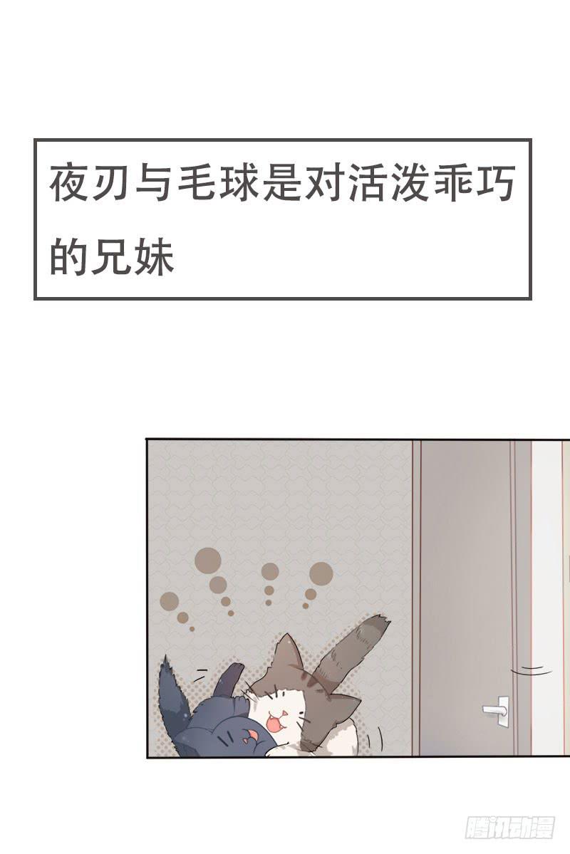 《双喵图腾》预告 第1页