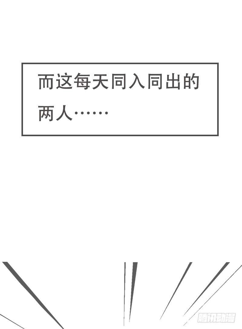 《双喵图腾》预告 第3页