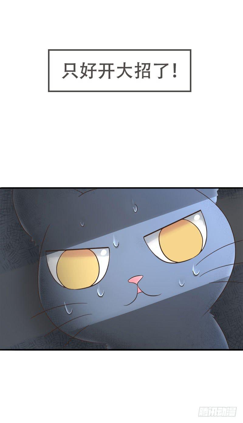 《双喵图腾》预告 第6页
