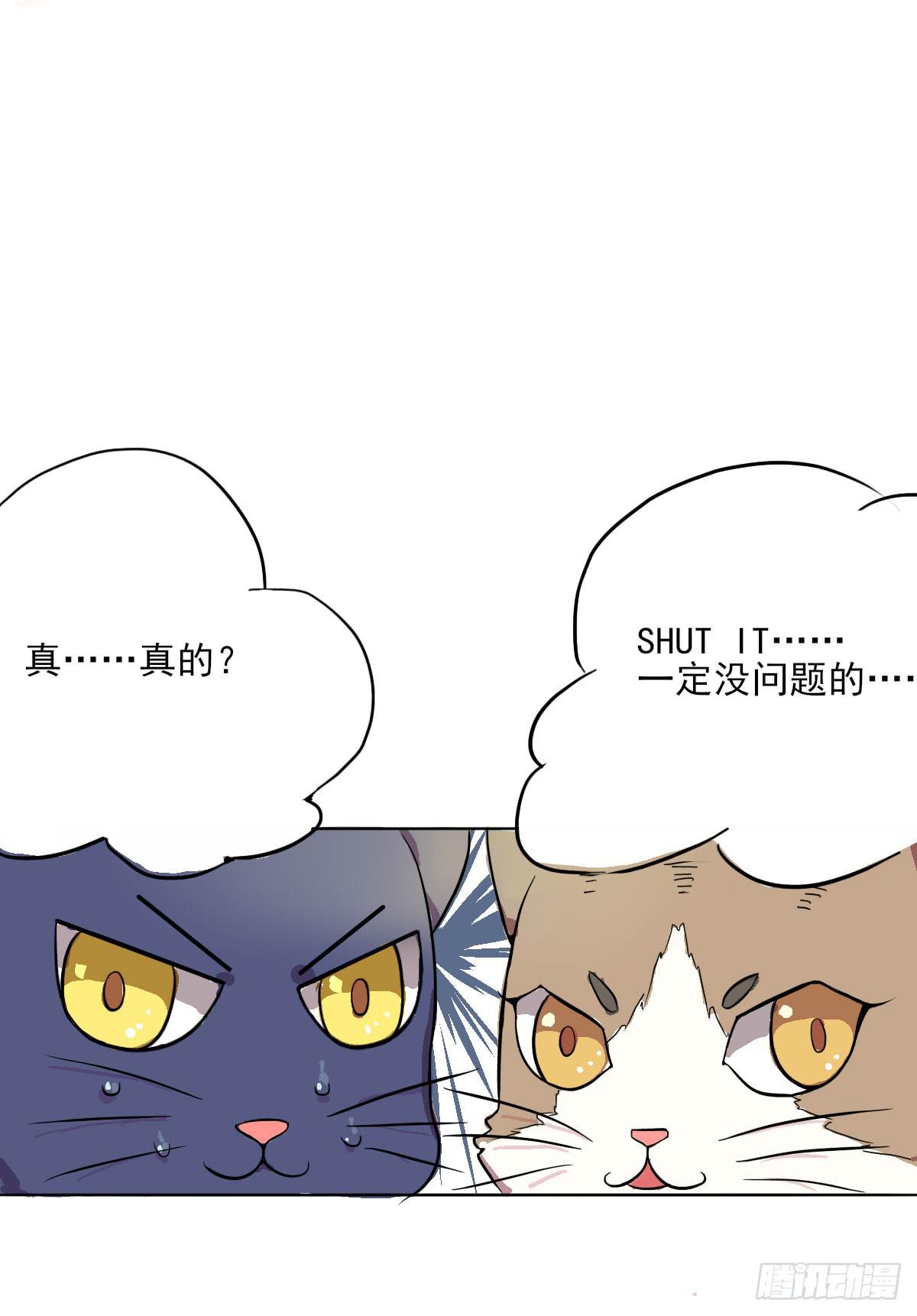 《双喵图腾》第002话 第13页
