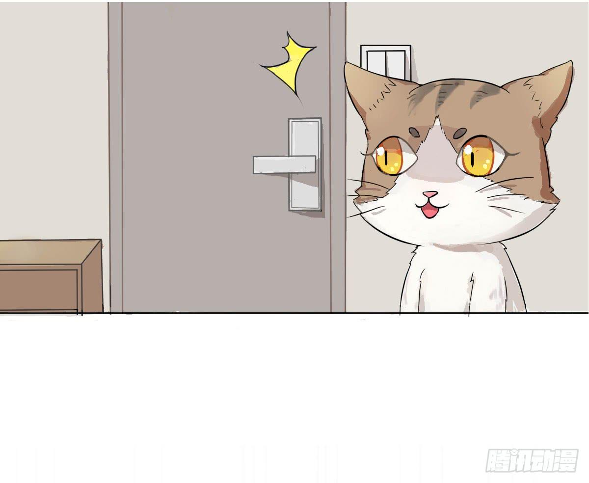 《双喵图腾》第002话 第2页