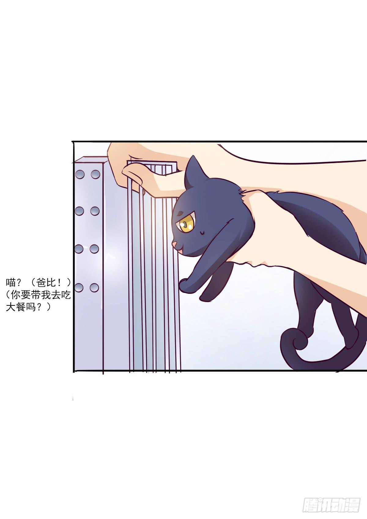 《双喵图腾》第003话 第11页