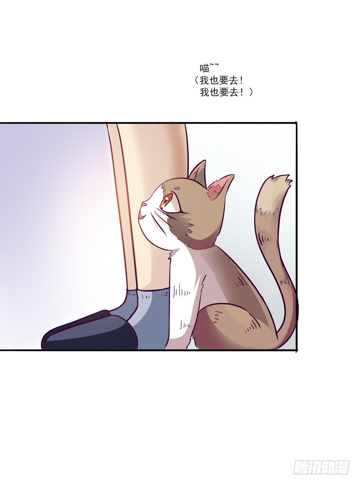 《双喵图腾》第003话 第12页