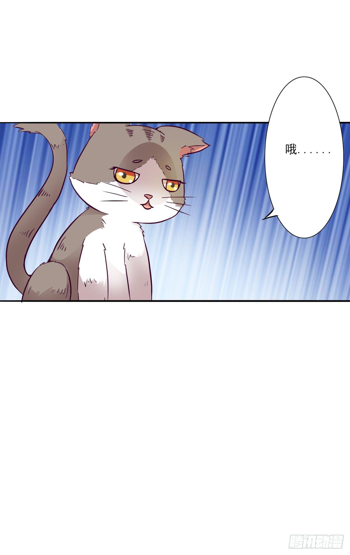 《双喵图腾》第003话 第14页