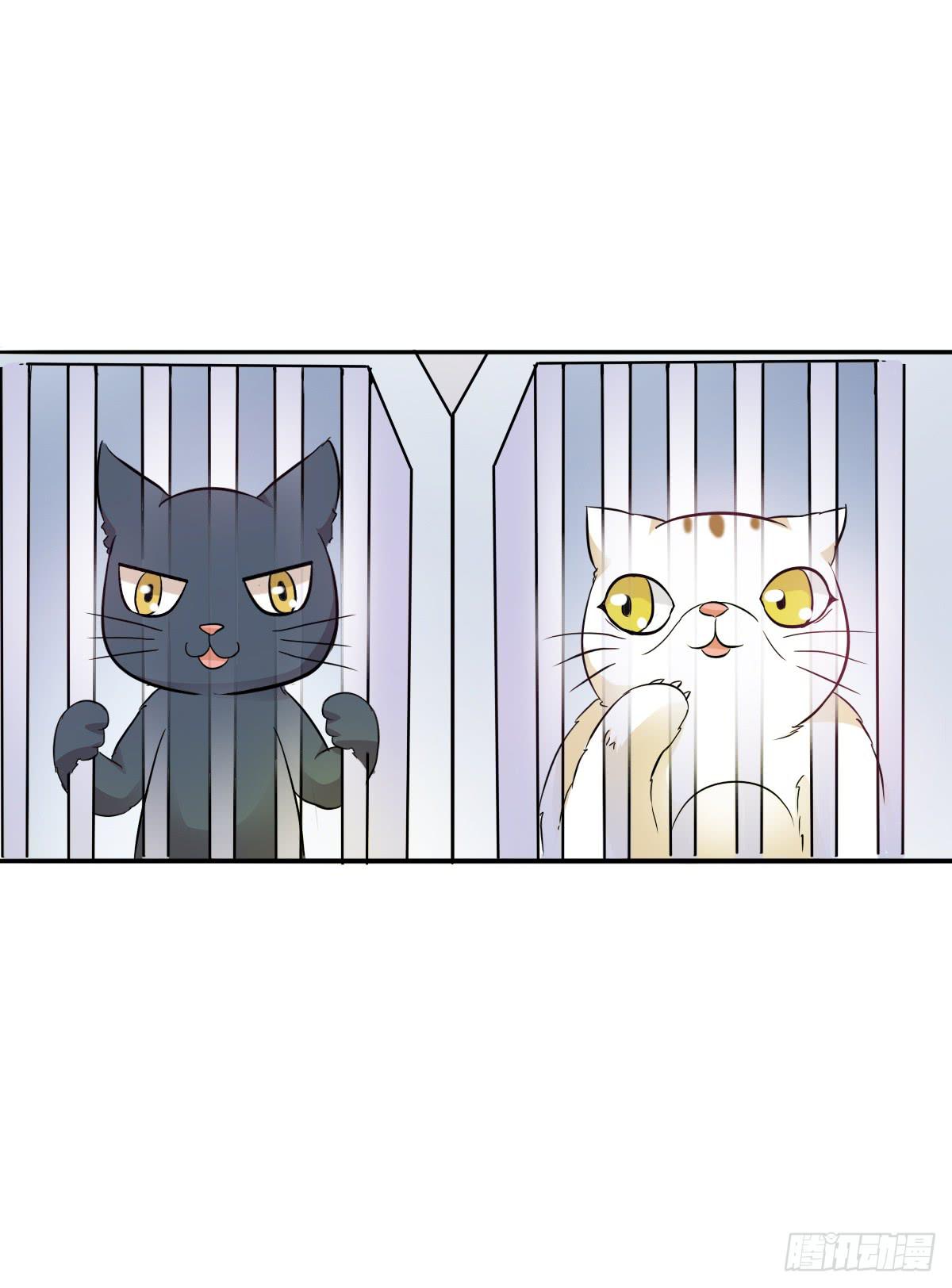《双喵图腾》第003话 第18页