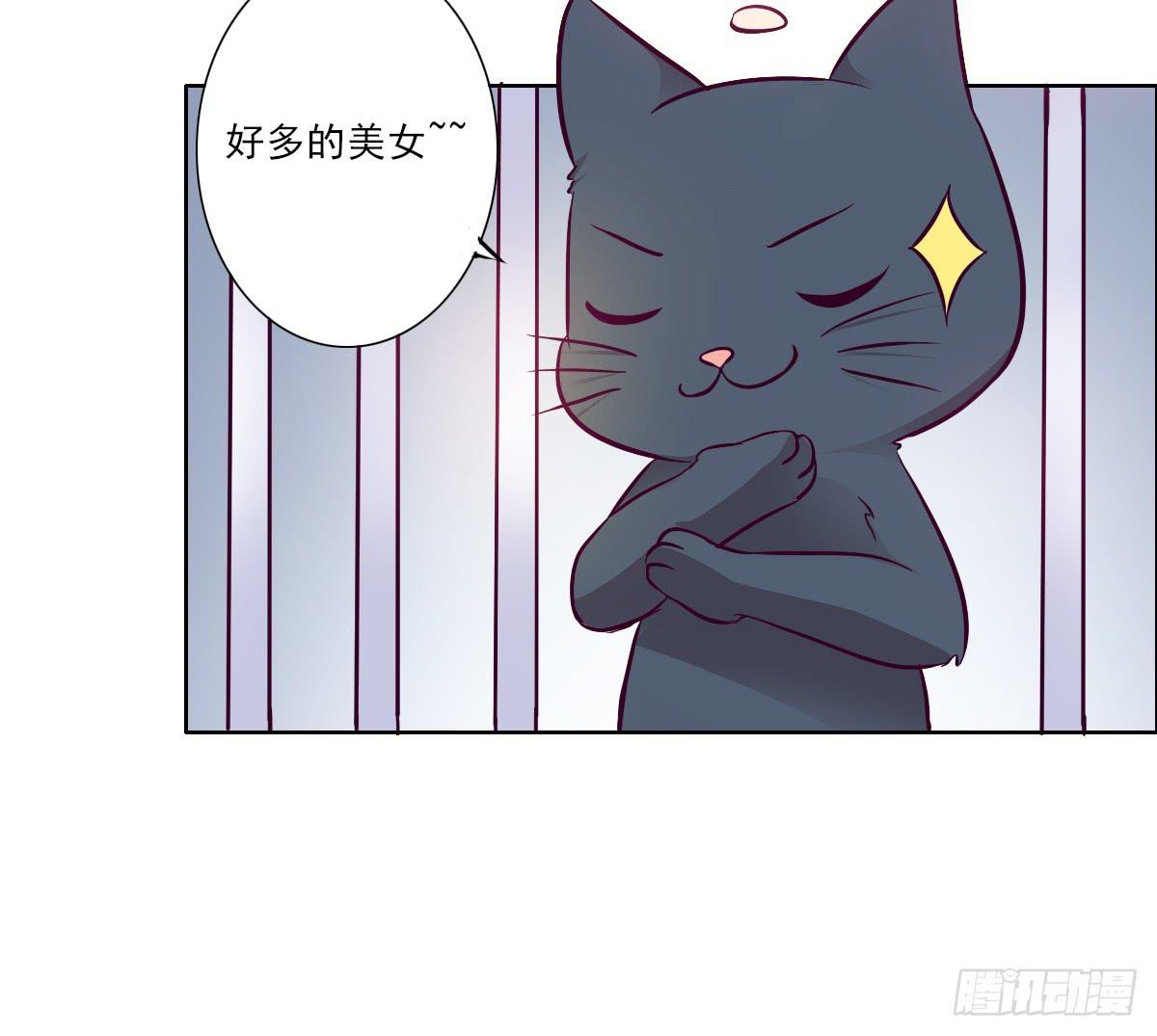 《双喵图腾》第003话 第20页