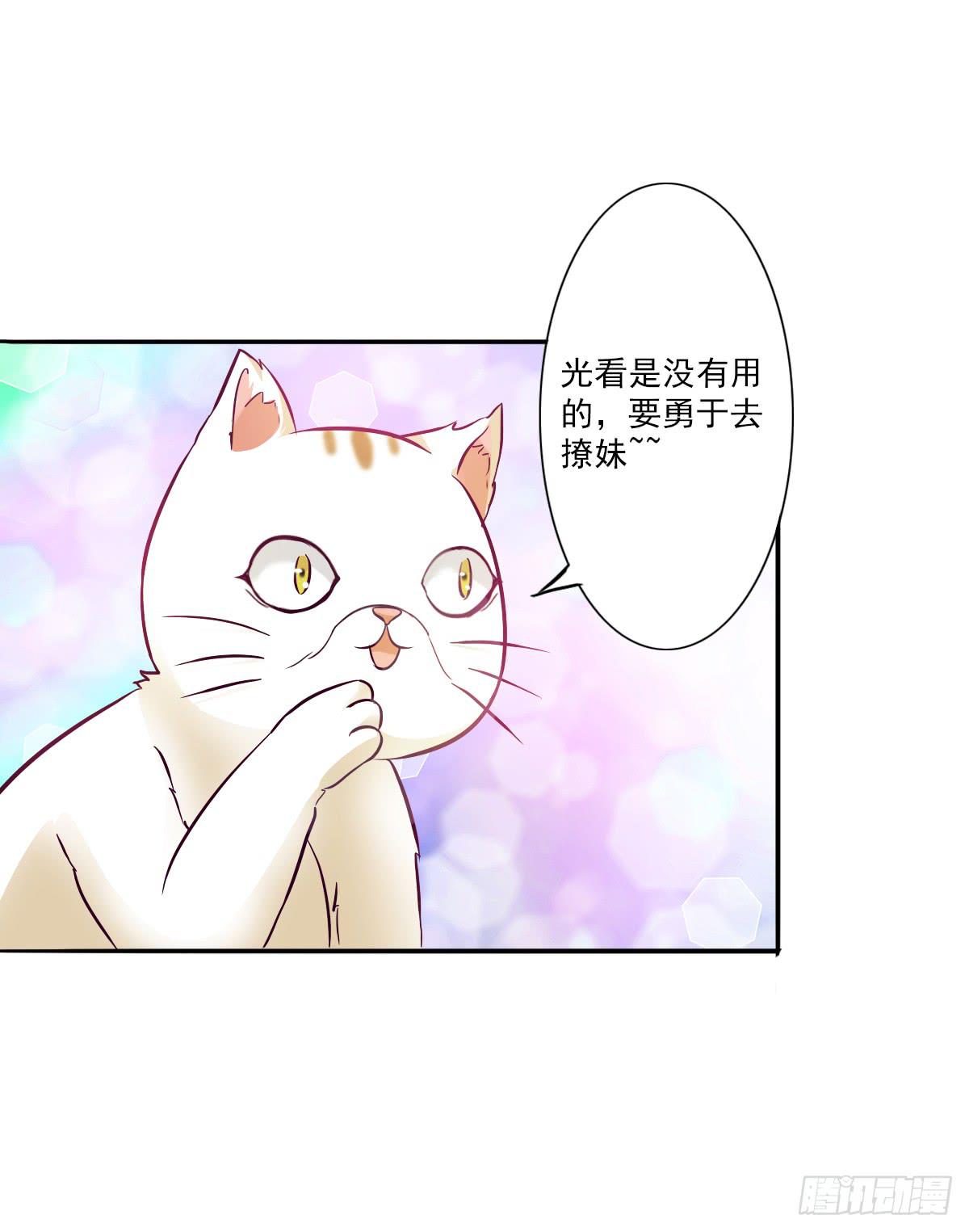 《双喵图腾》第003话 第21页