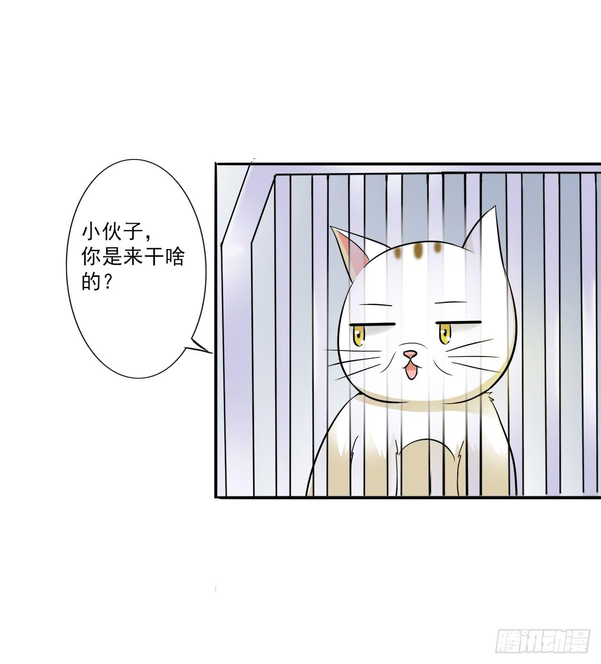 《双喵图腾》第003话 第23页